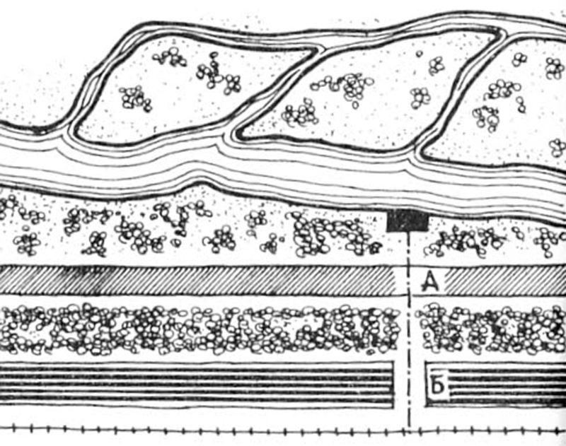 Nikolai Milyutin’s plan for the Linear City Residential zones (А) and industrial zones (Б) share a green band. Railroad tracks run along the industrial zone.
